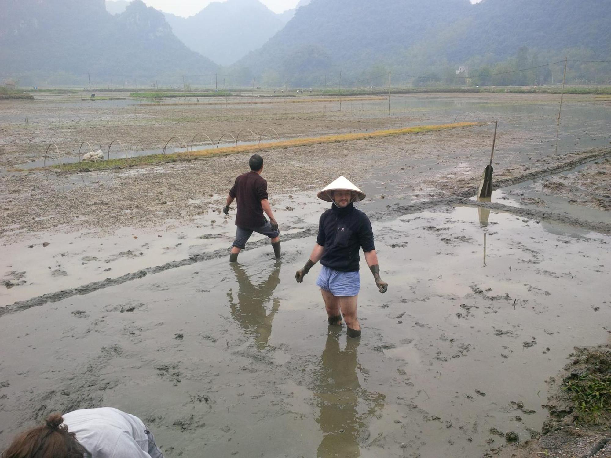 Tam Coc Rice Fields Resort Ninh Binh Eksteriør bilde